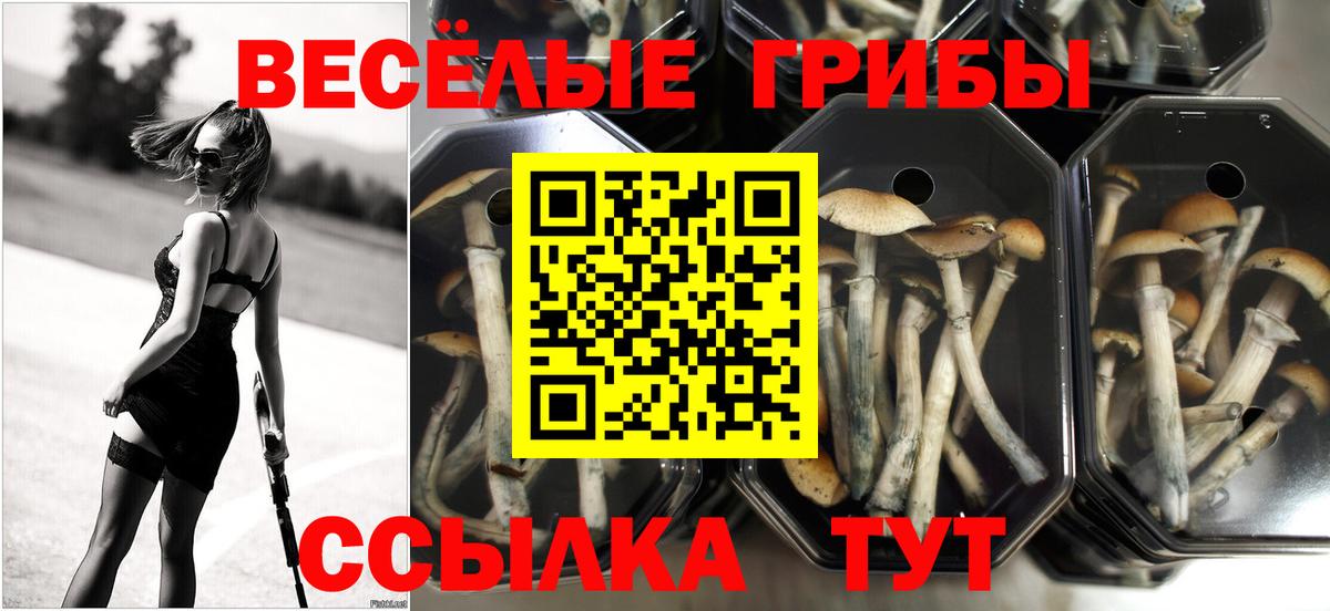 Псилоцибиновые грибы мицелий  Вход с VPN  наркошоп  Елабуга 